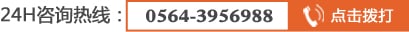 0564-3956988,